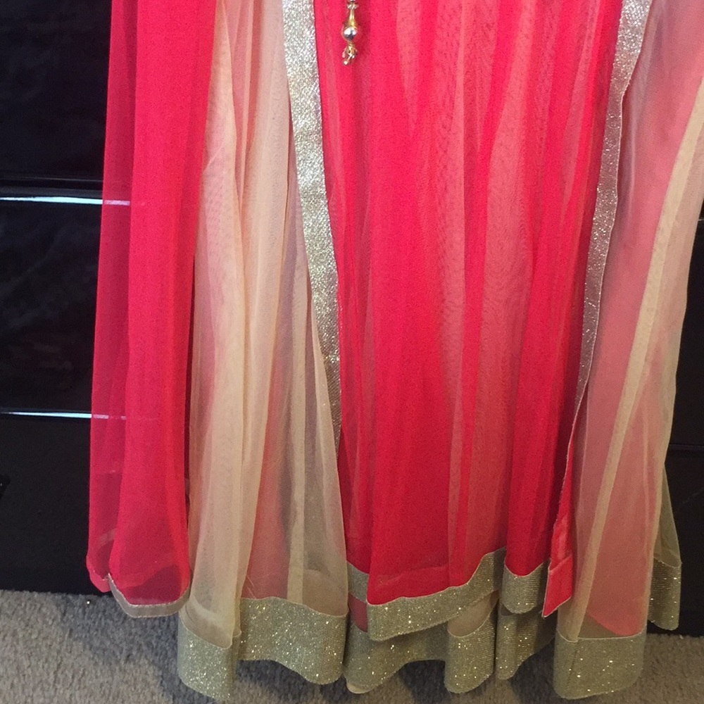 Indian party gown - Picture 4 of 4